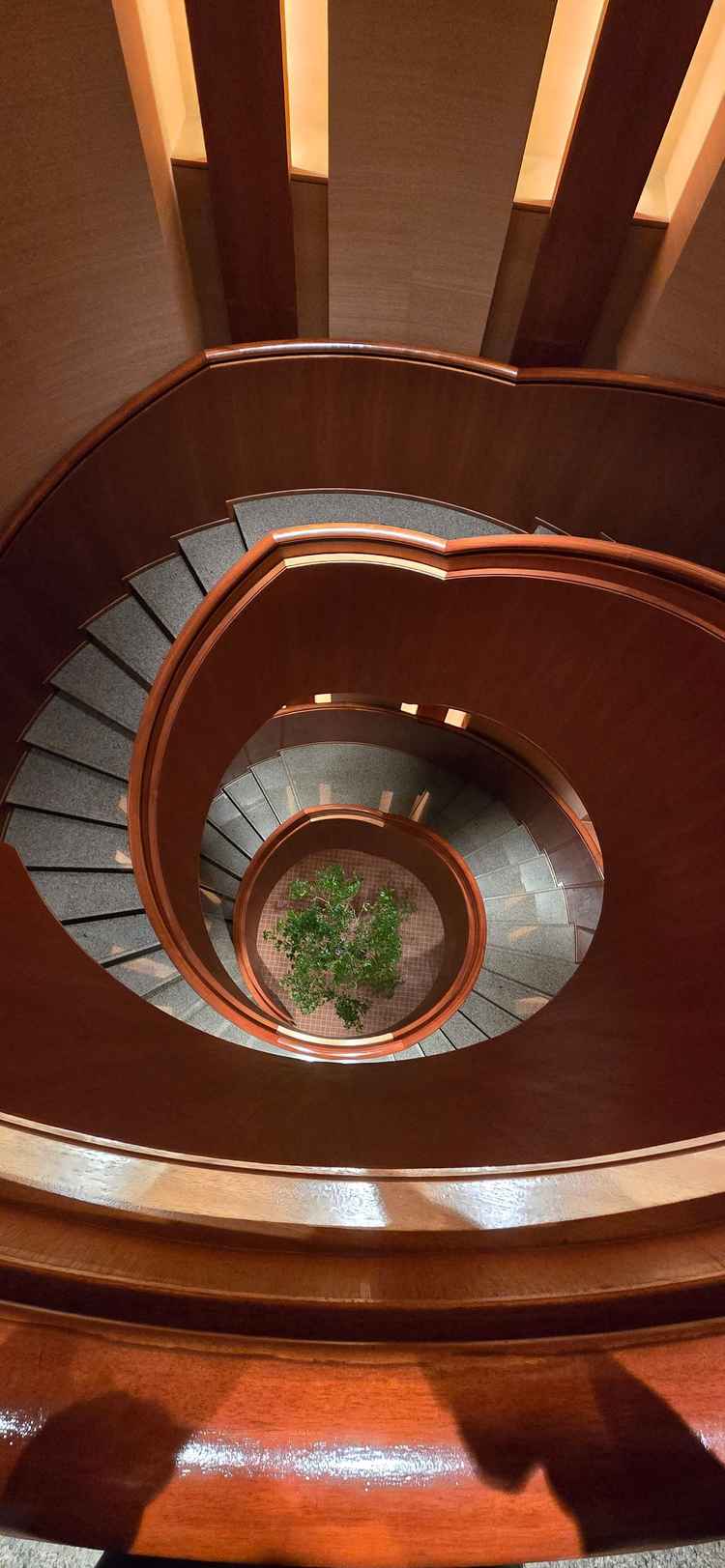 フォトスポットとして有名、パークハイアット内の螺旋階段。ここで写真撮影があるらしい