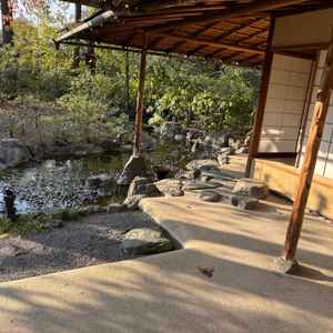 ユーザーが投稿した画像1をもっと見る