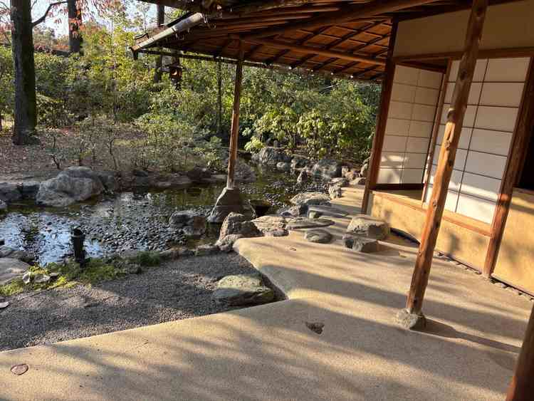 ユーザーが投稿した画像1
