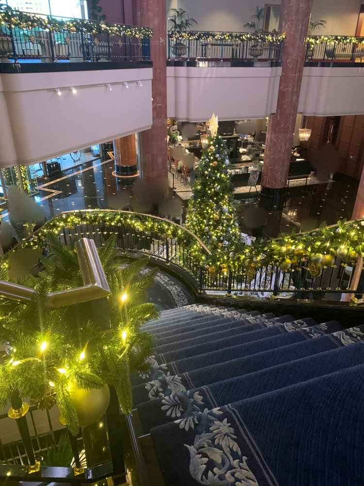 フォトスポットの階段別アングル。ツリーは冬以外はお花に変わるらしい。