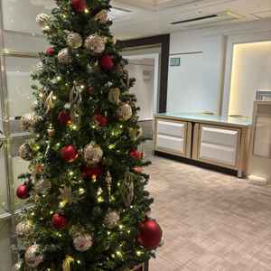 こちらは受付スペースです。11月見学だったのでクリスマスツリーが飾られていました。