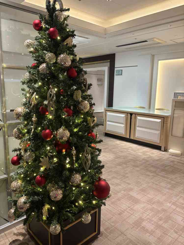 こちらは受付スペースです。11月見学だったのでクリスマスツリーが飾られていました。