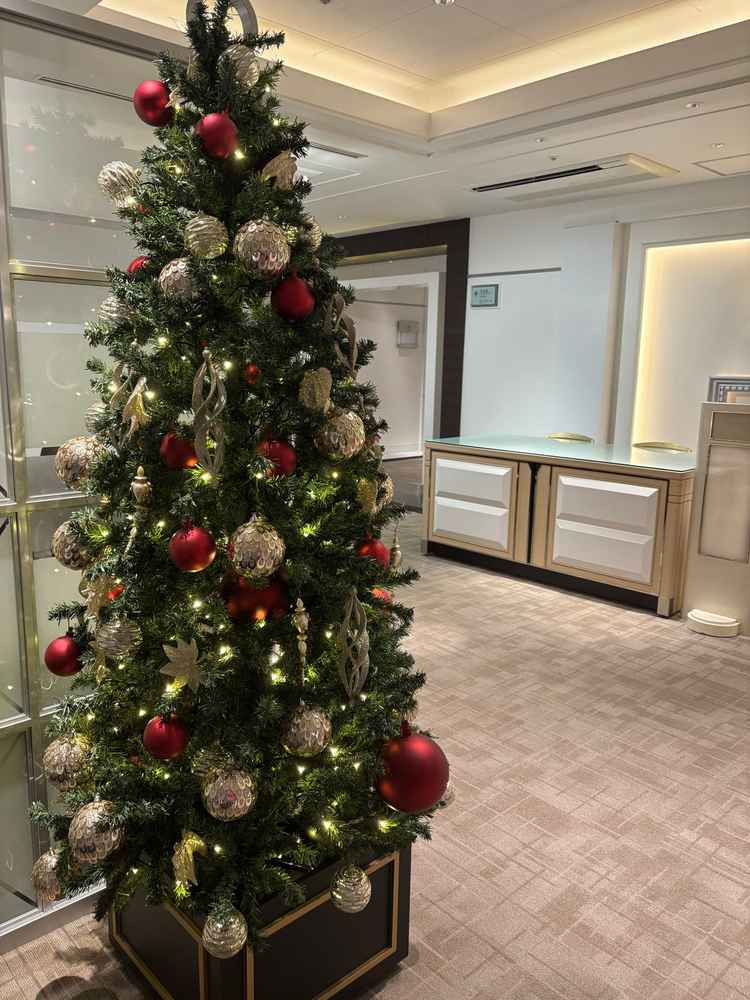 こちらは受付スペースです。11月見学だったのでクリスマスツリーが飾られていました。