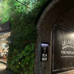 会場の入口。お店とお店の間にトンネルがあり、隠れ家のようなのとグリーンが前面にあしらわれた壁画が素敵