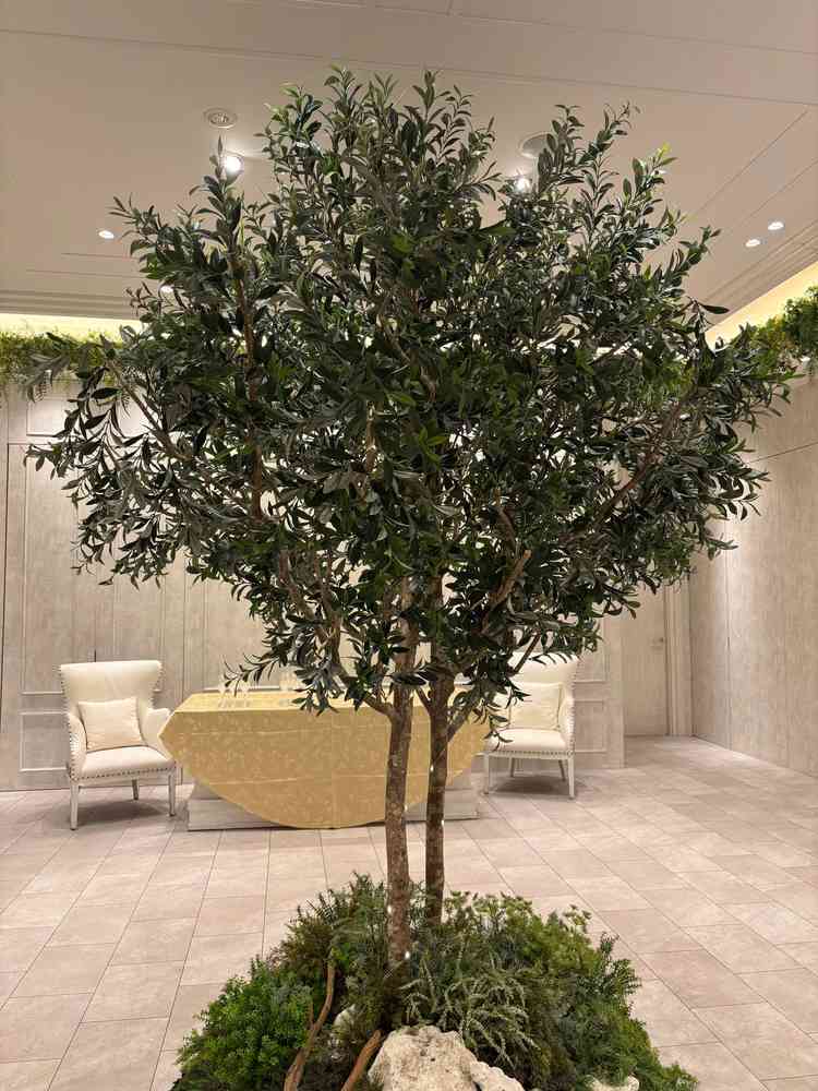 ユーザーが投稿した画像1