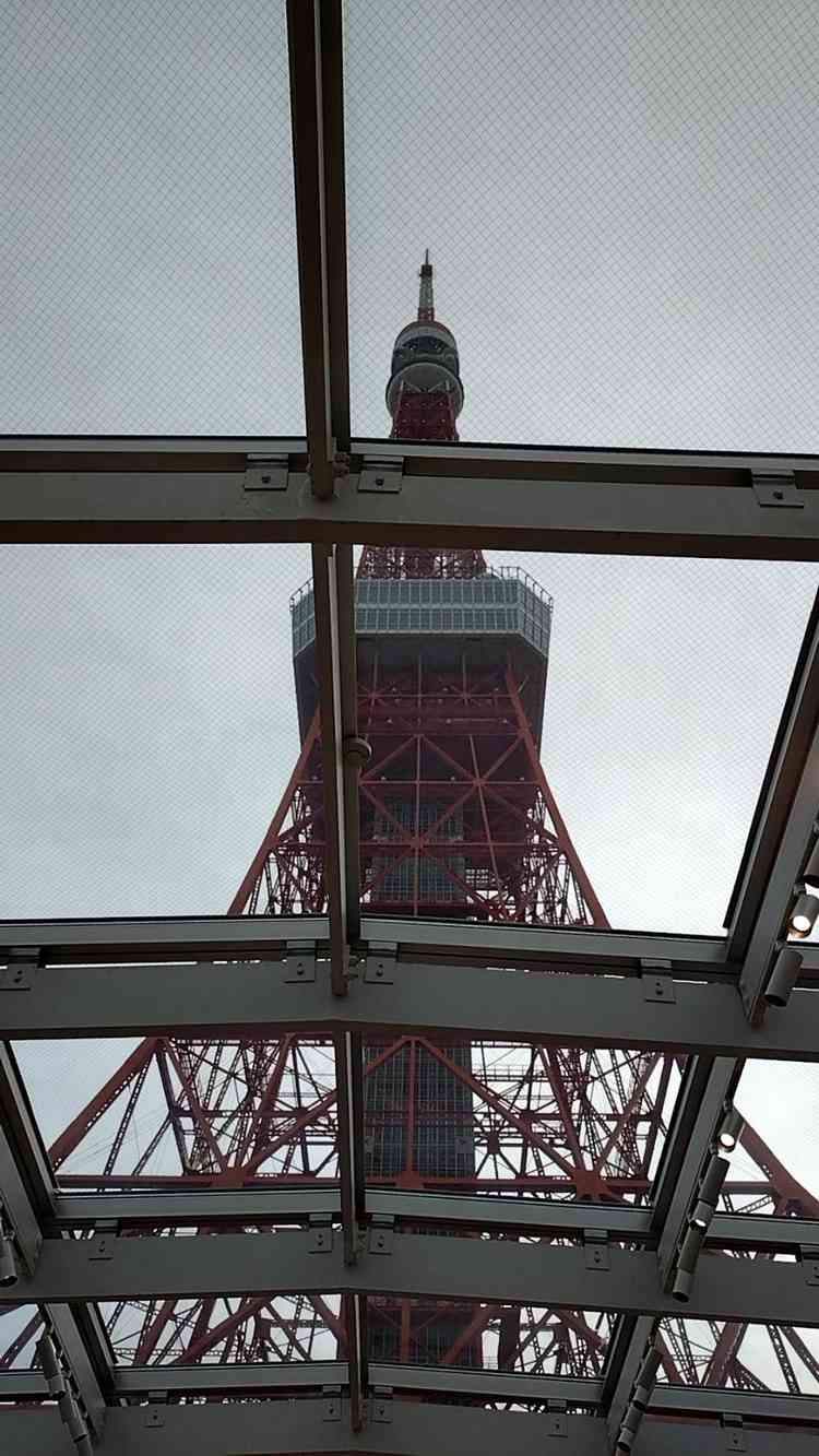 ユーザーが投稿した画像1