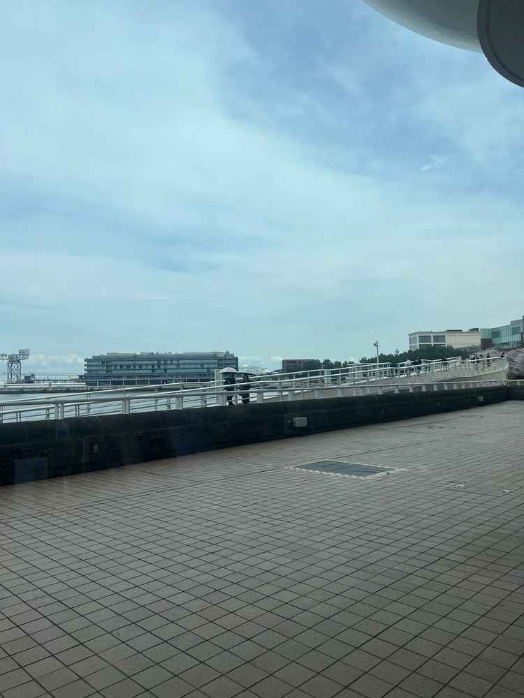 ランチビュッフェがついているフェアで、海も見えて良かったです！