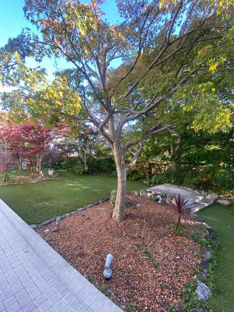 披露宴会場に隣接した庭。道路が隣接していますが、建物が高い位置にあるので、見られることはありません。