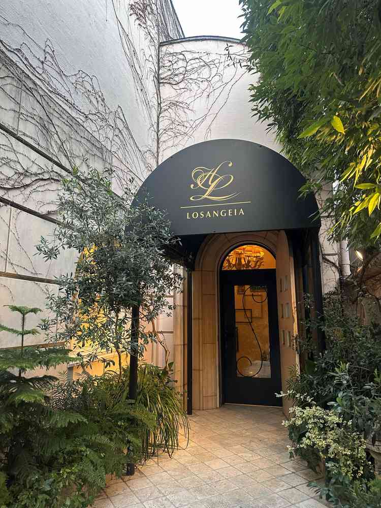 外観の階段と緑が上品で印象的でした。