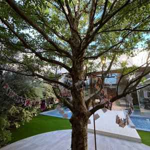 ガーデンのシンボルツリー