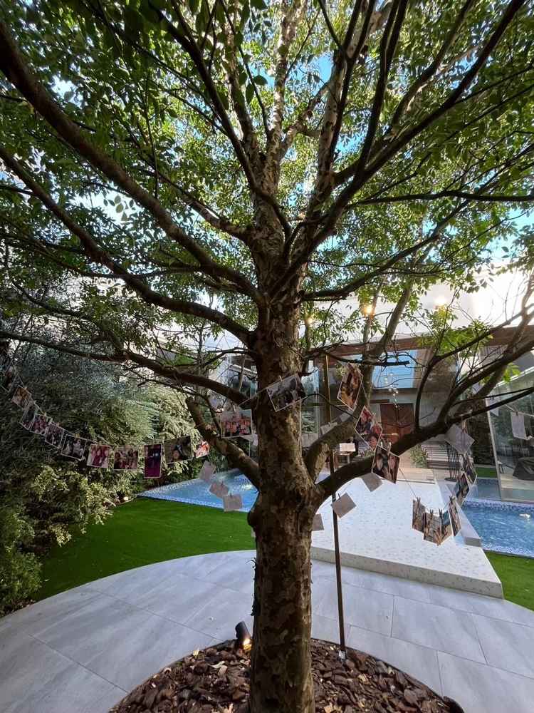 ガーデンのシンボルツリー