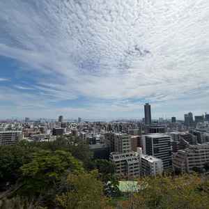 景色。披露宴中にこのような景色が一望できるのは特別だと思いました。