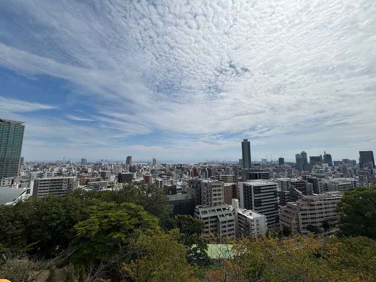 景色。披露宴中にこのような景色が一望できるのは特別だと思いました。