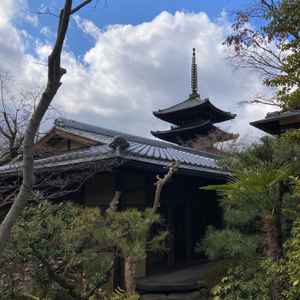 ユーザーが投稿した画像1をもっと見る
