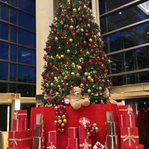 クリスマスツリー