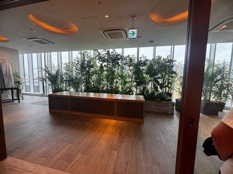 観葉植物が多く、明るい雰囲気でした