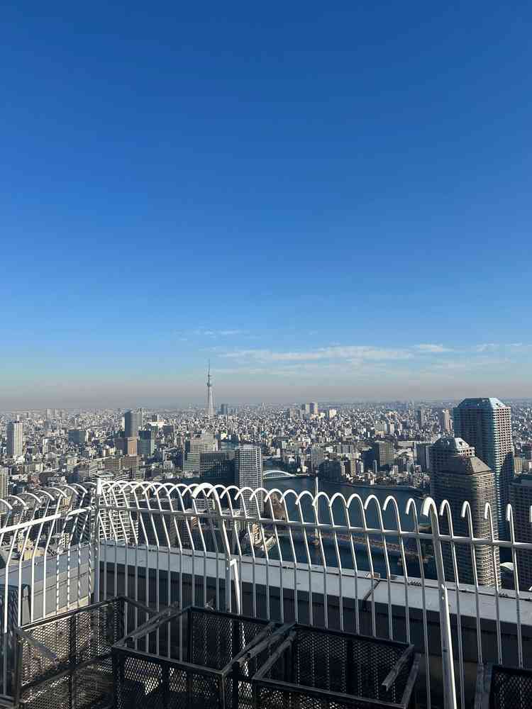 屋外テラスからの眺望