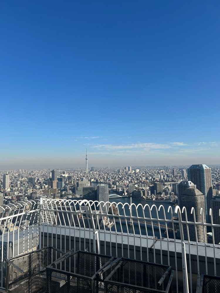 屋外テラスからの眺望