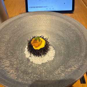 試食したウニのグラタン