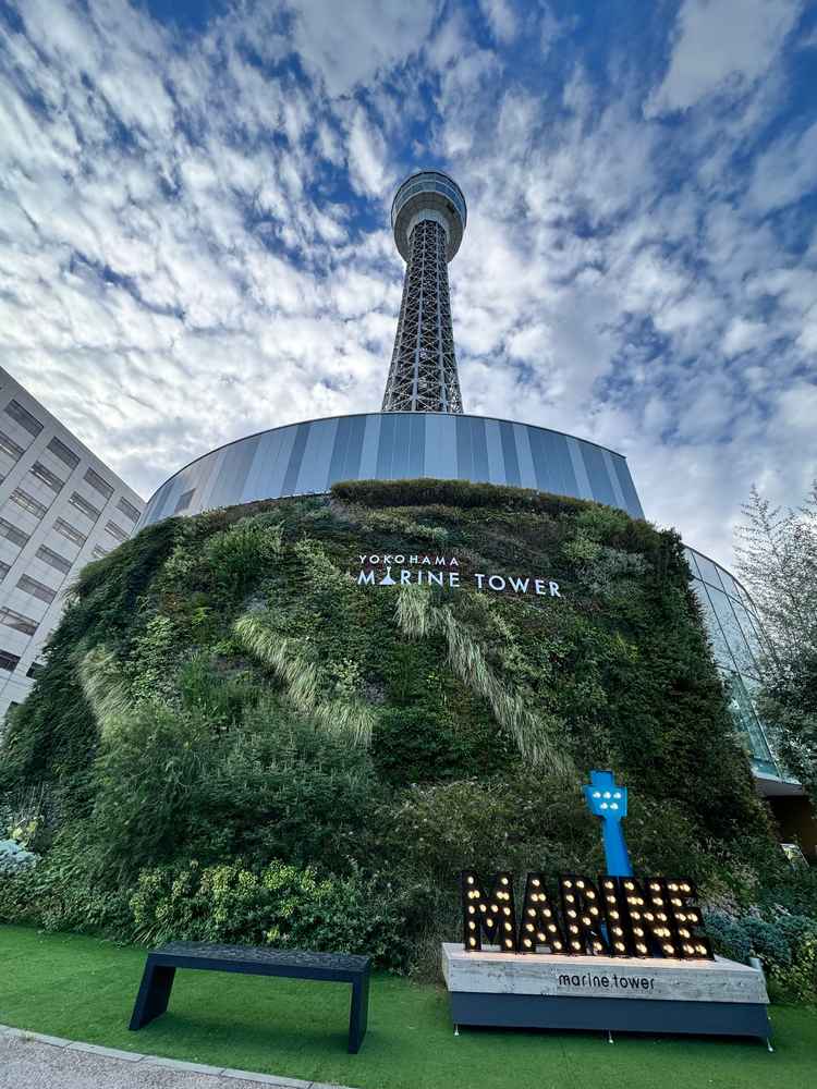 リニューアルされ、外観も内装も綺麗でした！