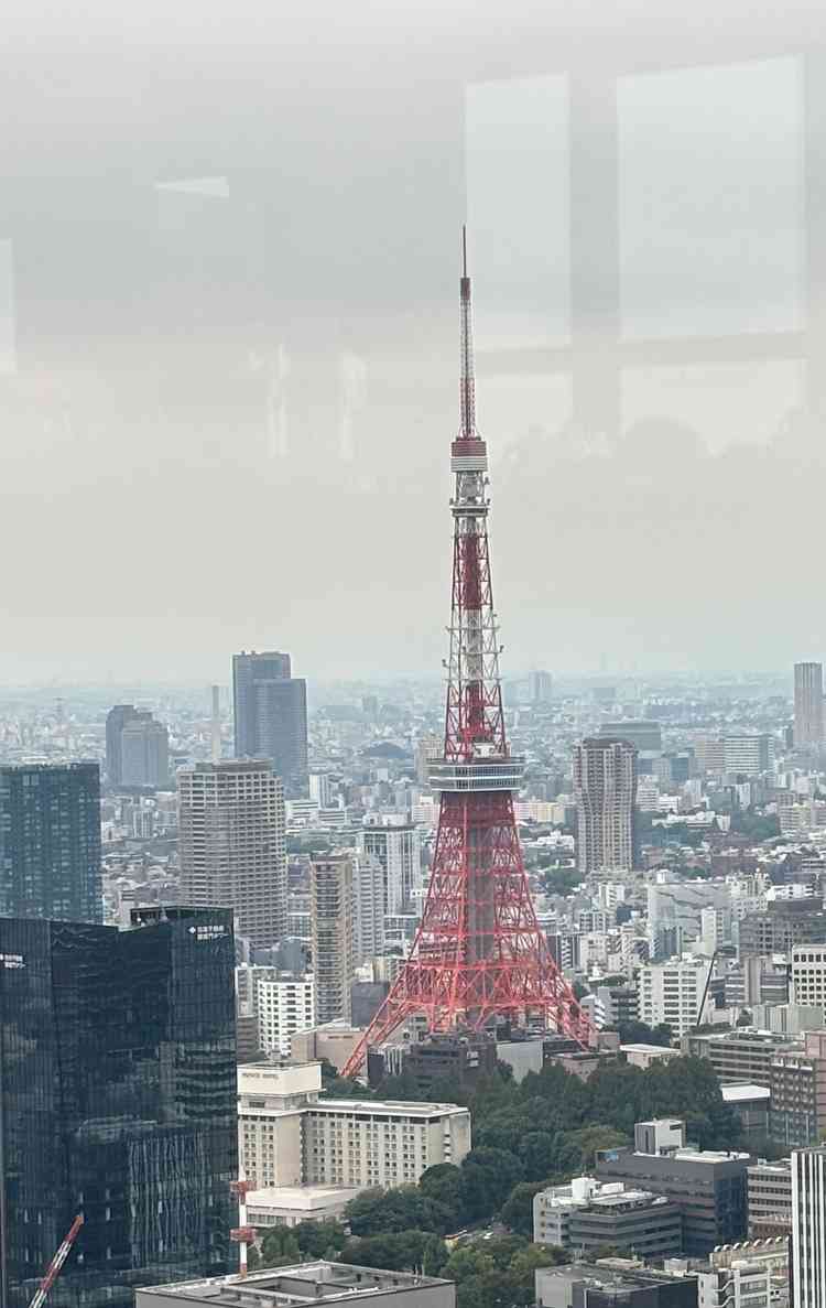 東京タワーも見える