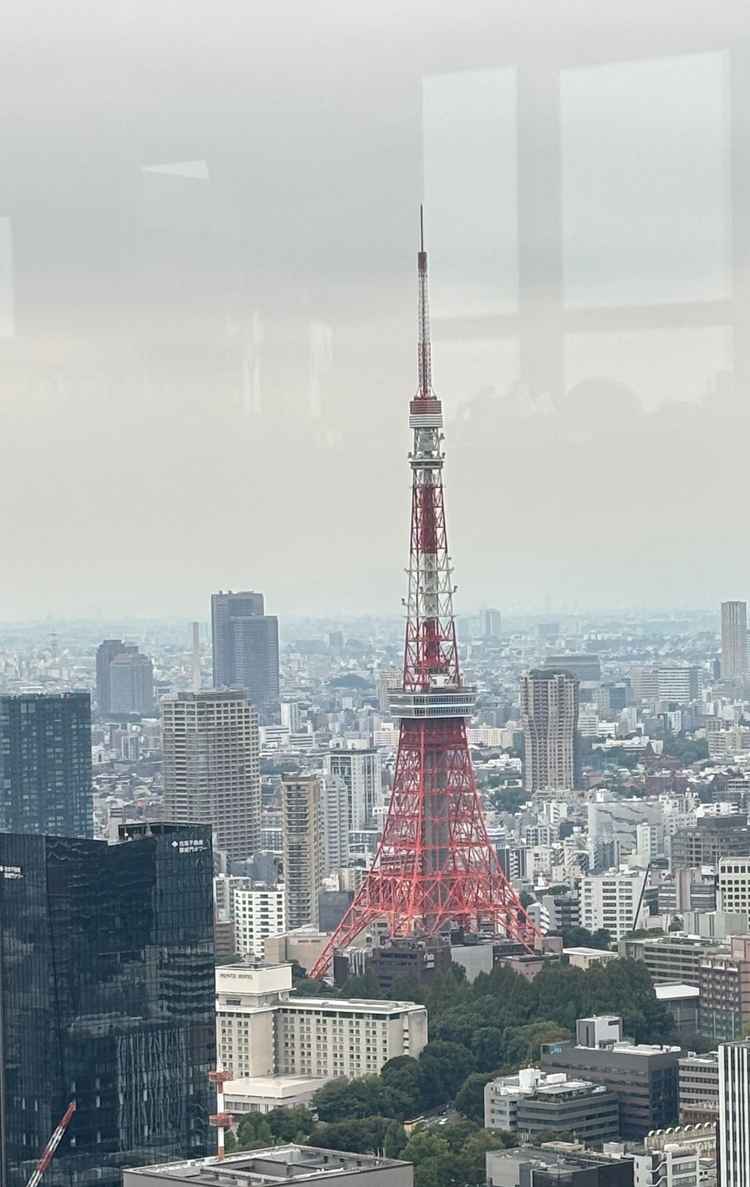 東京タワーも見える