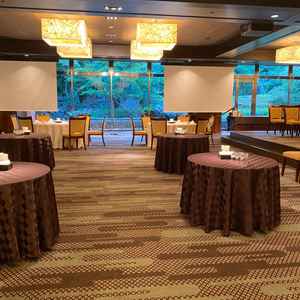 今日は会食用のセッティングでしたが、緑が美しかったです