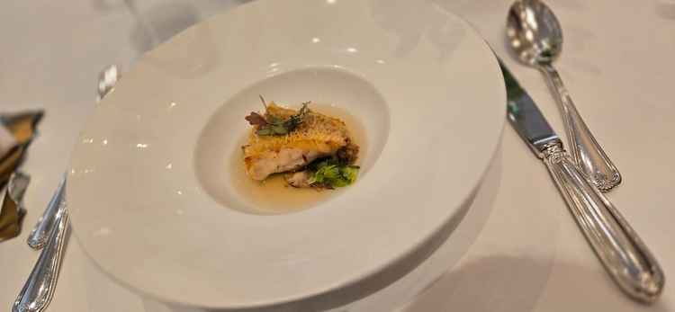 試食会のお魚料理。シェフこだわりで、美味しかったです。