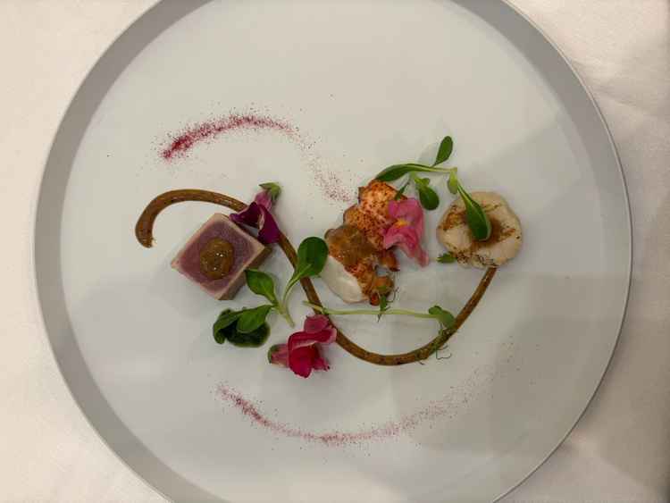 料理の前菜の写真。味はもちろん見た目も楽しめる。