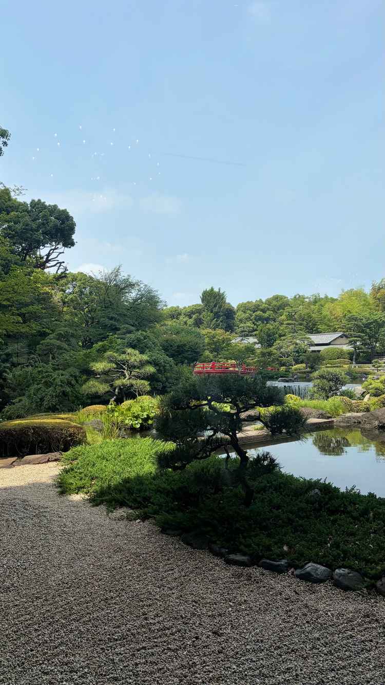 お庭の写真。東京にいるとは思えない景色がとても素敵です。四季も感じられて良いなと思いました。