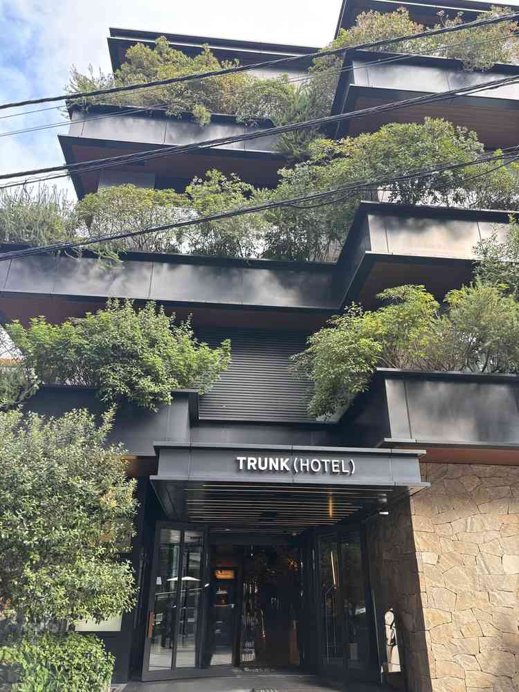 正面玄関。緑が多くモダンな感じ。