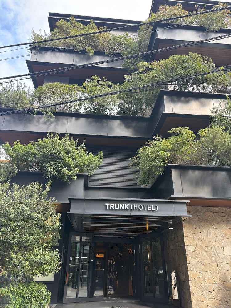 正面玄関。緑が多くモダンな感じ。