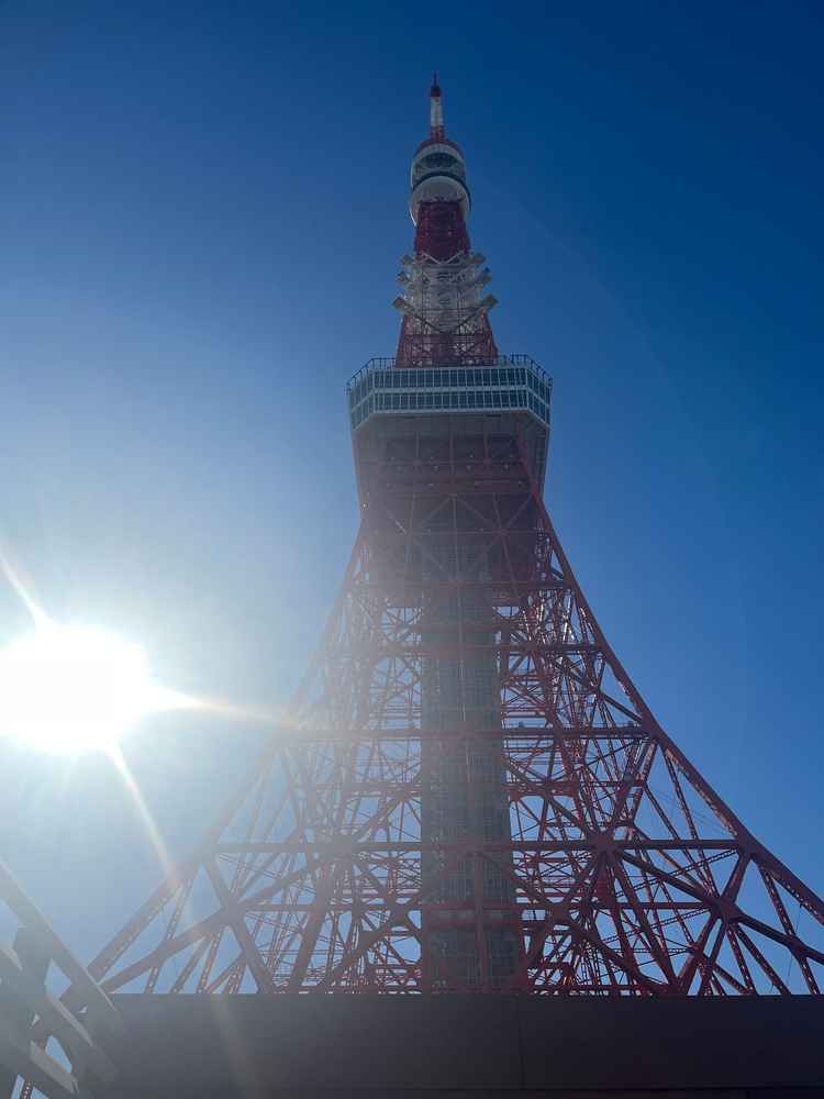 制約者限定で利用できるバーからの東京タワーは圧巻でした。