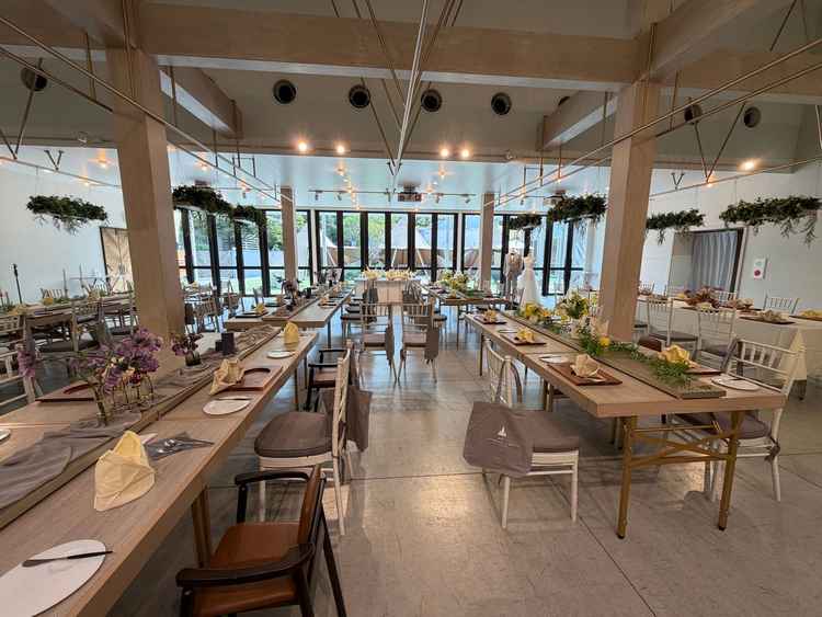 天井にある緑はデフォルトだと聞き好感を持てました