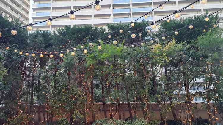 ウエルカムパーティーから、テラスに出ることができ、緑がいっぱいで写真が映えそうでした。