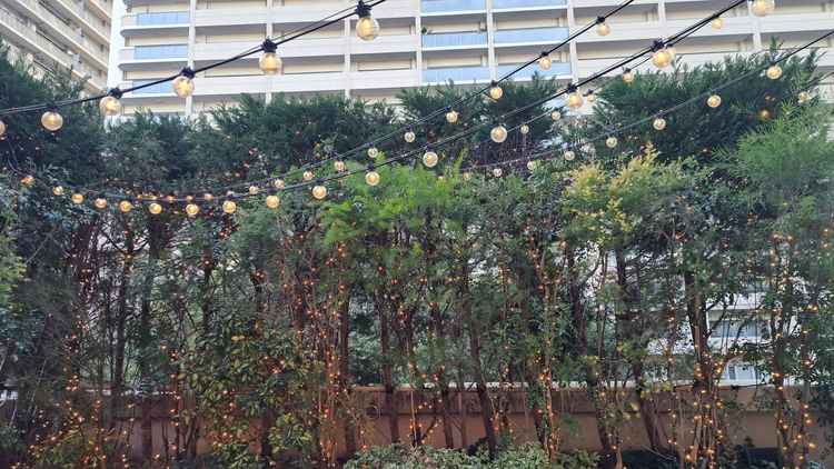 ウエルカムパーティーから、テラスに出ることができ、緑がいっぱいで写真が映えそうでした。