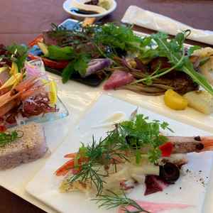 試食