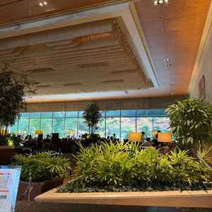 エントランスの窓から見える景色が綺麗。午前式であれば写真もここで撮れるのが魅力的。