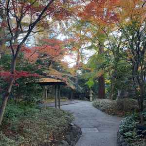 日本庭園。紅葉の時期ということもあり、とても綺麗でした。