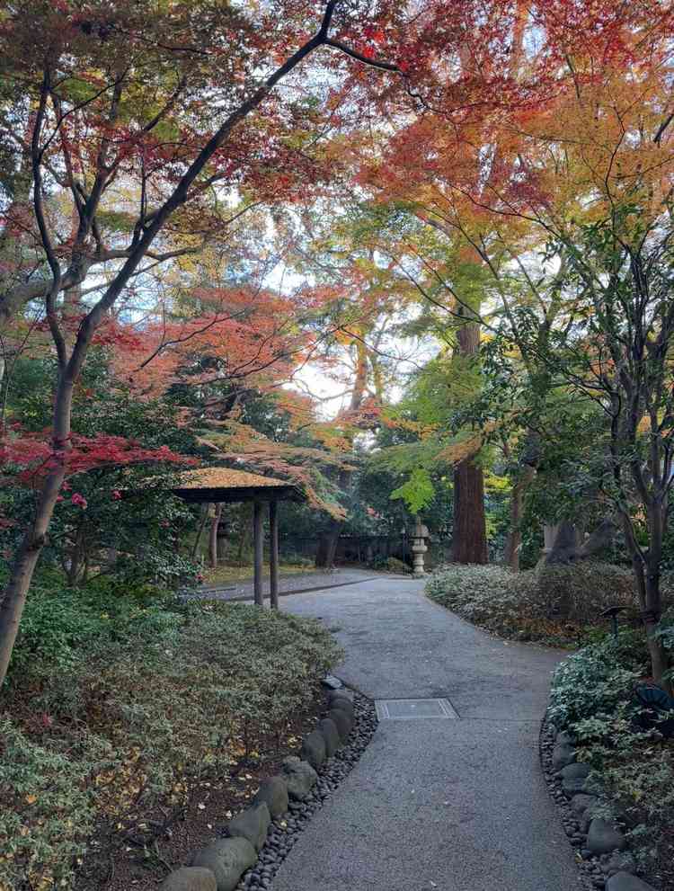 日本庭園。紅葉の時期ということもあり、とても綺麗でした。