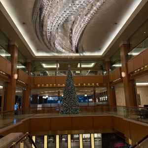 天の川に見立てたシャンデリアはかなり綺麗。11月中旬からは大きなクリスマスツリーも出てかなりの迫力