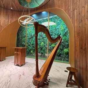 生演奏のハープ