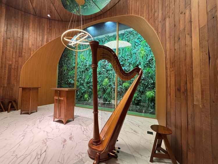 生演奏のハープ