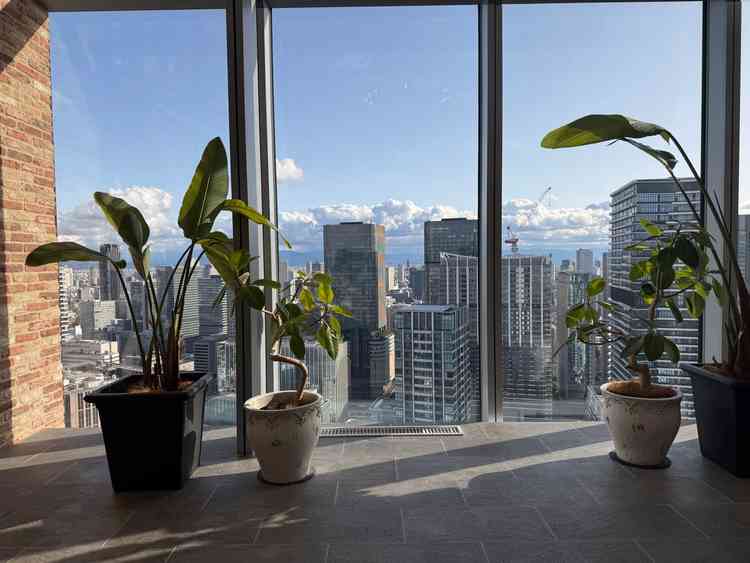 33階にあるということもありとても景色の良い式場だった。