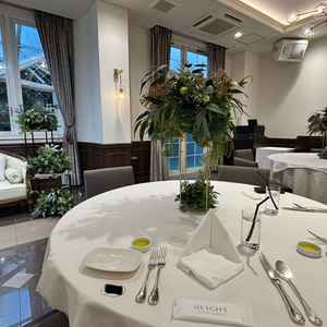 洗練されています🌱