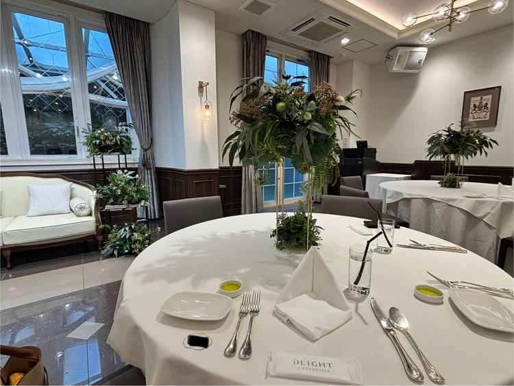 洗練されています🌱