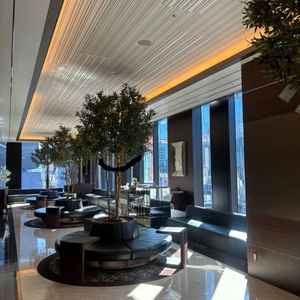 待合室の写真。黒いレザーのソファと、本会場のシンボルのオリーブの木が素敵でした。