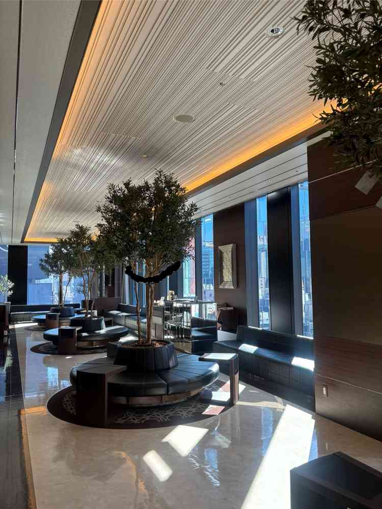 待合室の写真。黒いレザーのソファと、本会場のシンボルのオリーブの木が素敵でした。