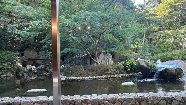 ア会場から見える庭園上から下まで全て緑が埋め尽くされている