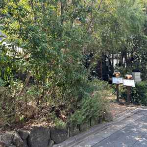 併設のレストラン入り口です。緑の感じが素晴らしいです。結婚式以降もレストランのみ利用ができるのがいい